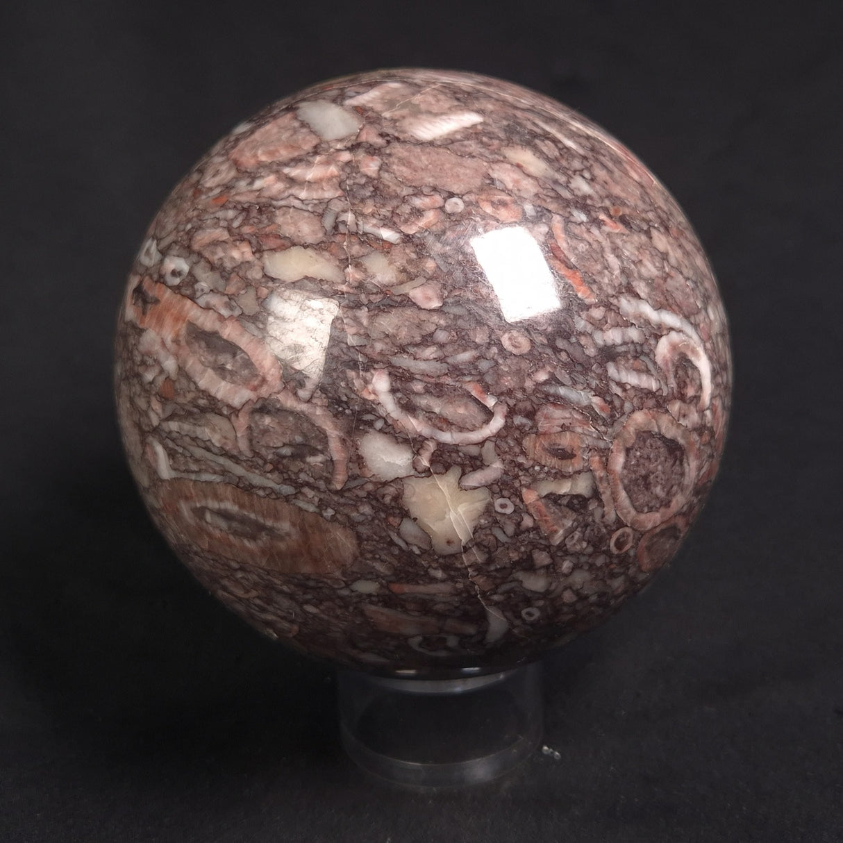 CRINOID MARBLE SPHERE, Australia YMS011
