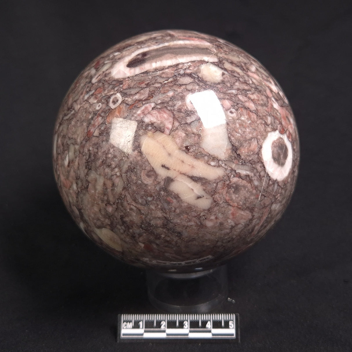 CRINOID MARBLE SPHERE, Australia YMS011