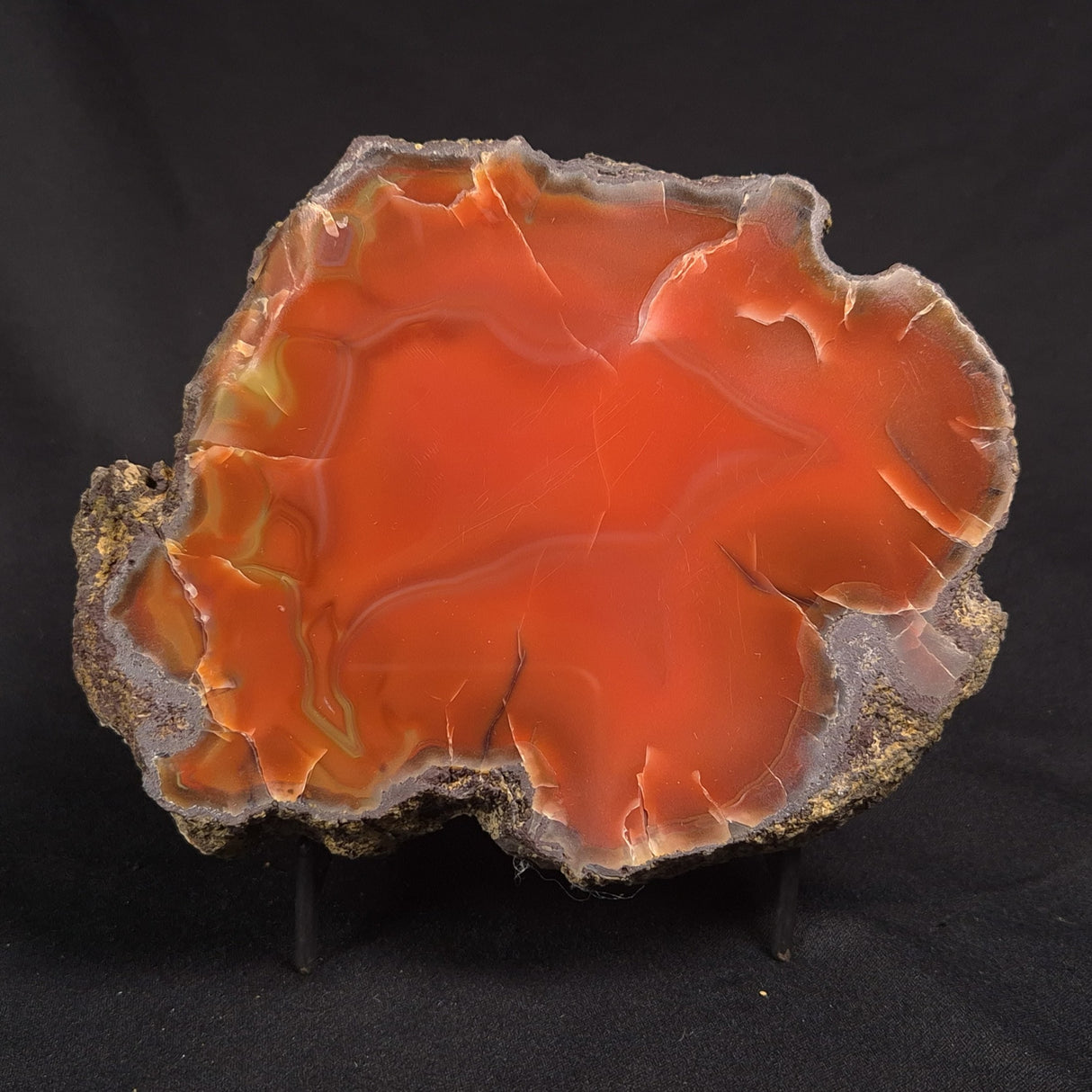 POLISHED AGATE, Agate Creek, Australia YAC027