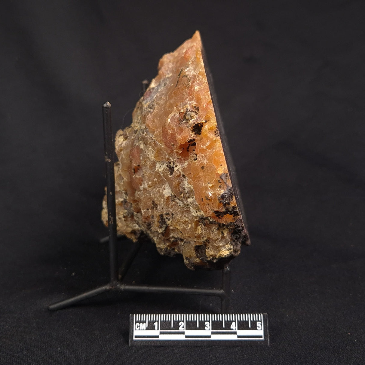POLISHED AGATE WITH AMETHYST, Agate Creek, Australia YAC030