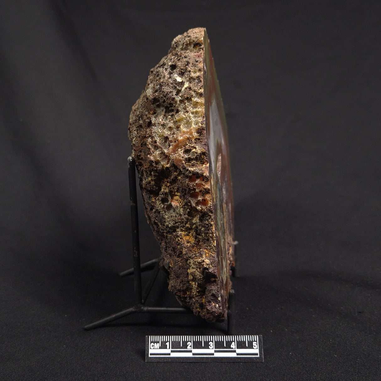 POLISHED AGATE, Agate Creek, Australia YAC033