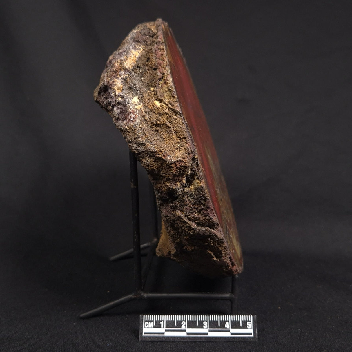 POLISHED AGATE, Agate Creek, Australia YAC034