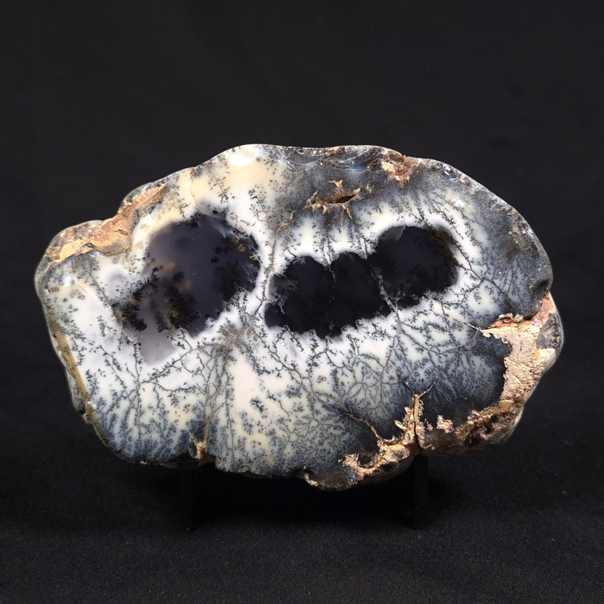 DENDRITIC CHALCEDONY (MERLINITE), Australia YSC149
