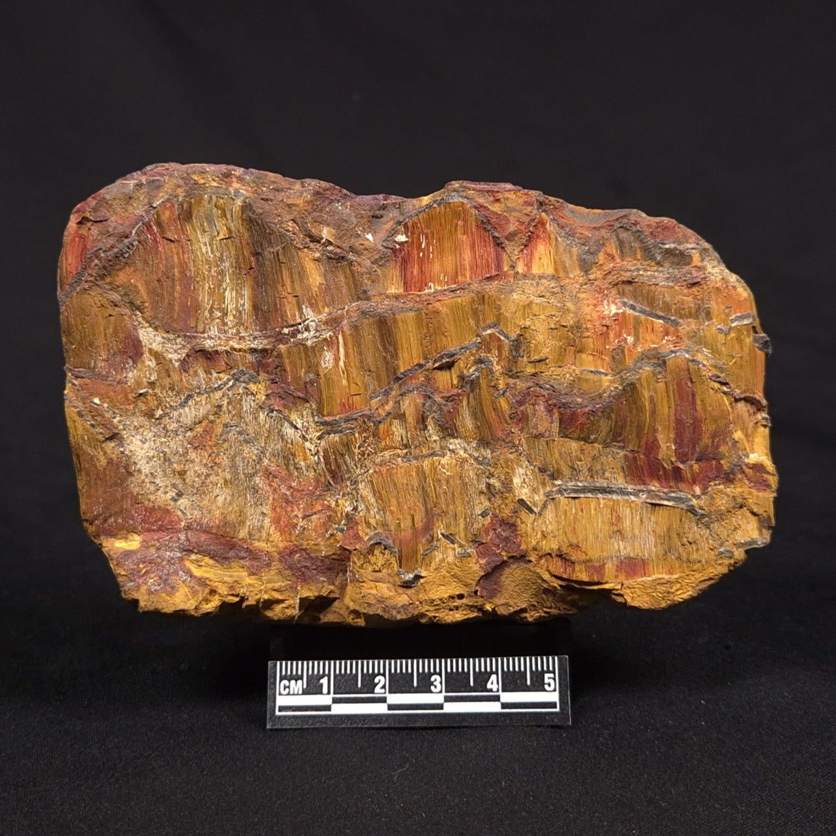 TIGER EYE, Australia YSC151