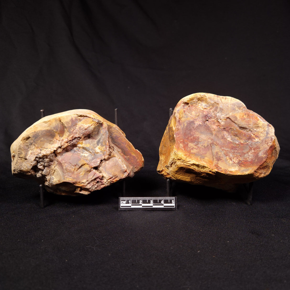 PARABURDOO PODS PAIR, Australia YSC155