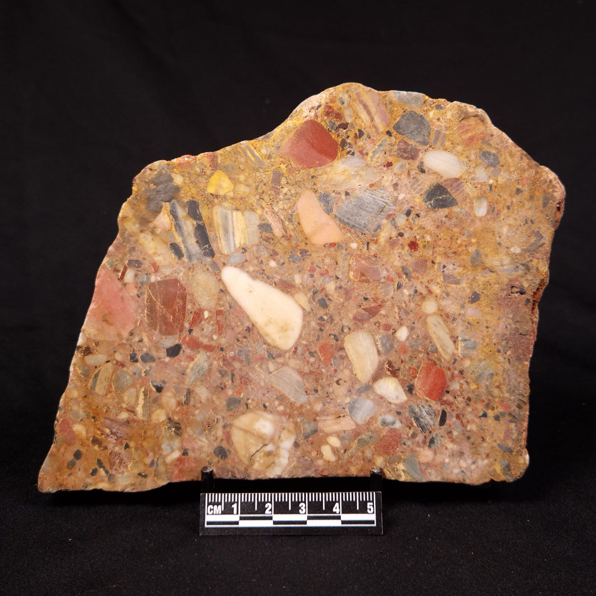BRECCIA, Australia YSC159