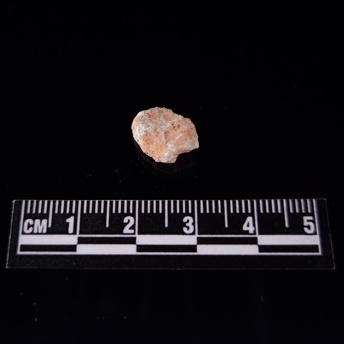 BECHAR 003 LUNAR METEORITE, Algeria XLM001