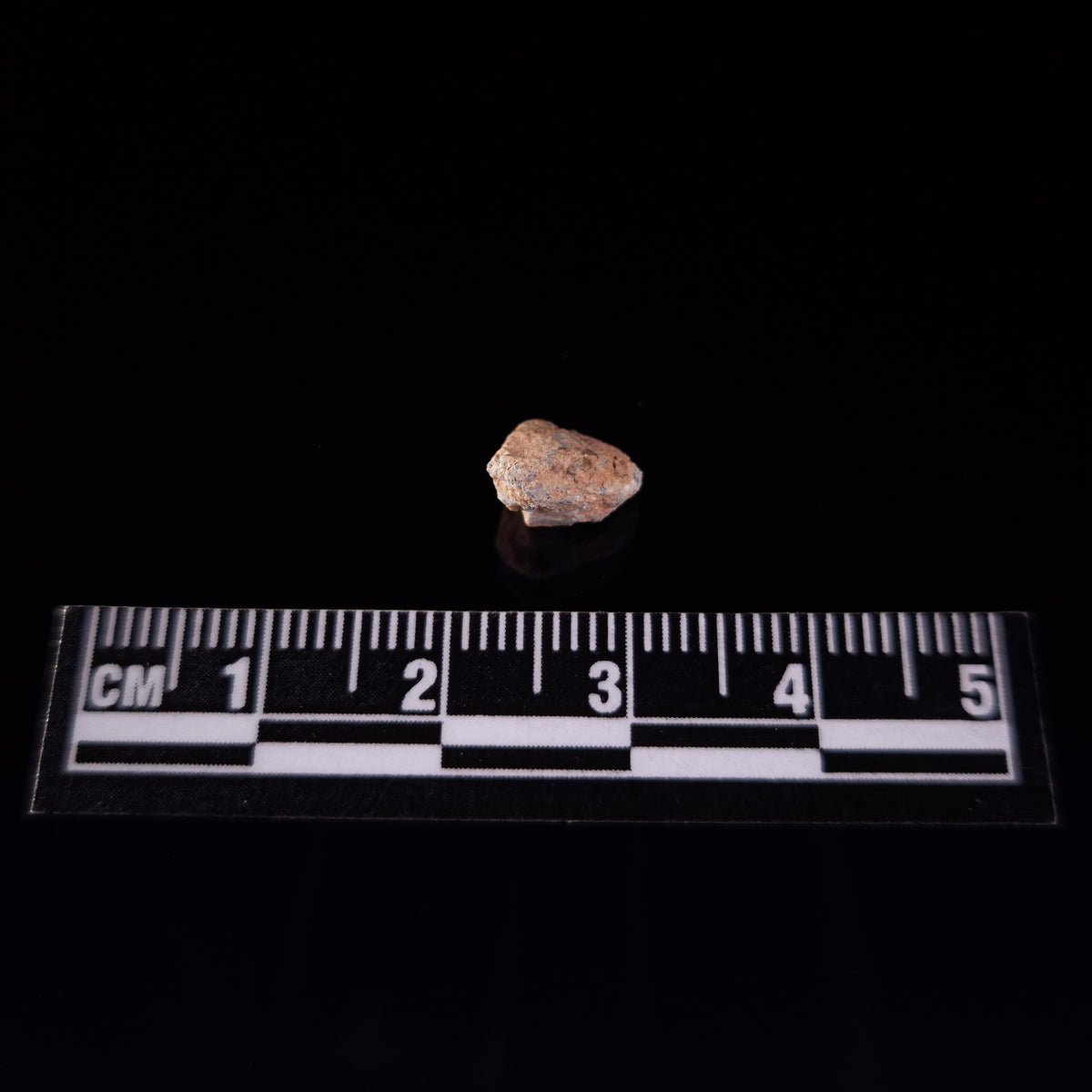 BECHAR 003 LUNAR METEORITE, Algeria XLM002