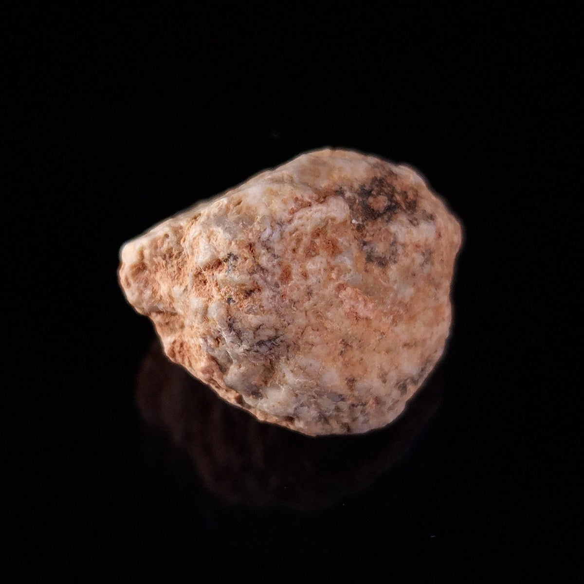 BECHAR 003 LUNAR METEORITE, Algeria XLM003