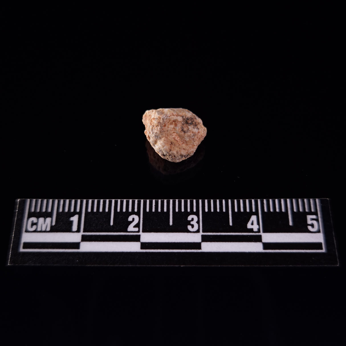 BECHAR 003 LUNAR METEORITE, Algeria XLM003