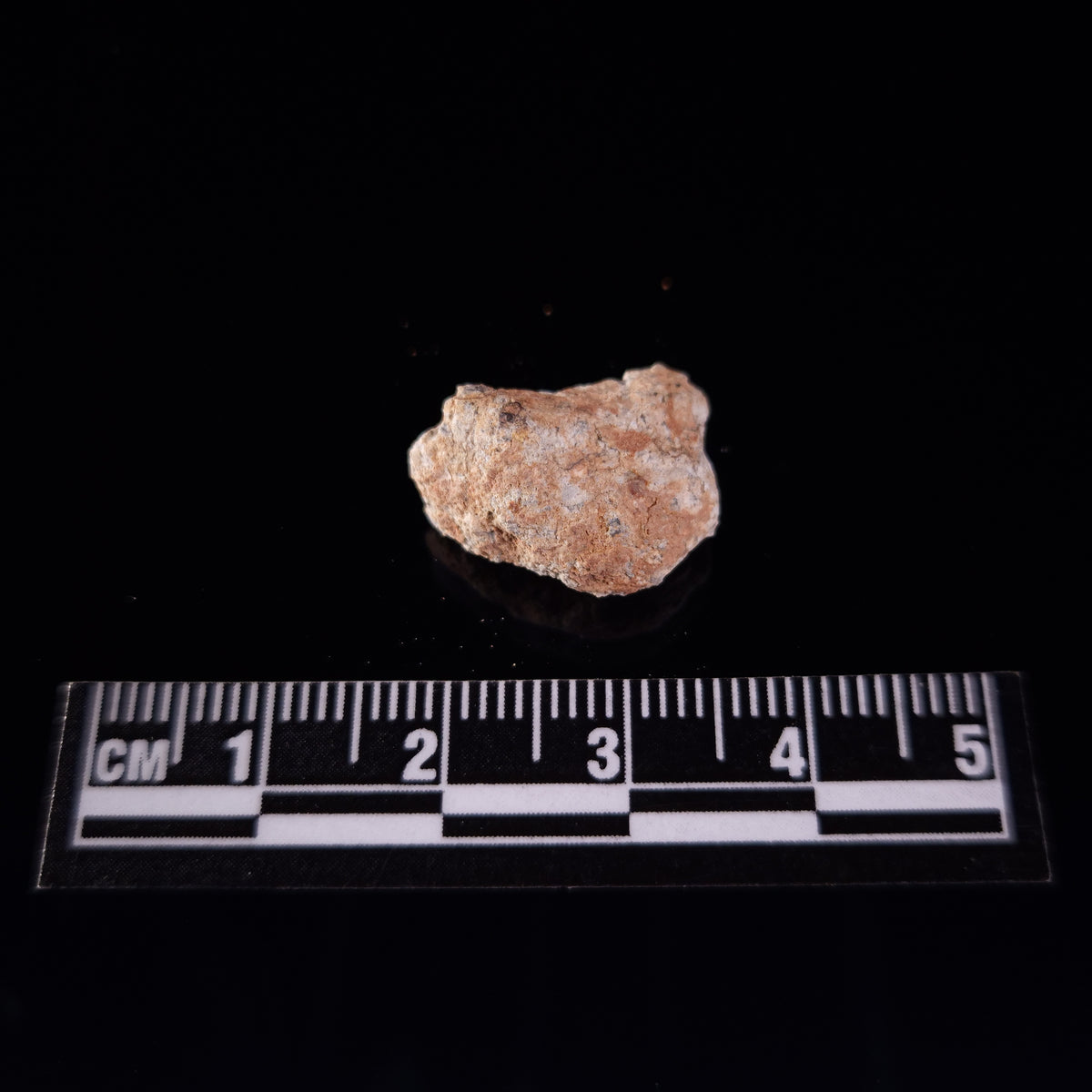 BECHAR 003 LUNAR METEORITE, Algeria XLM005