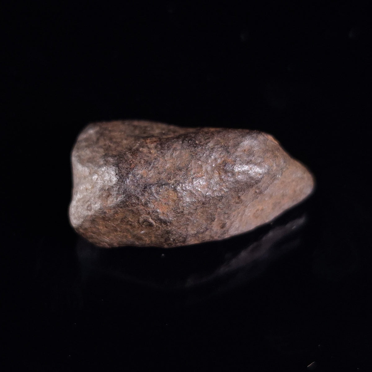 BOXHOLE METEORITE, Australia XBM009