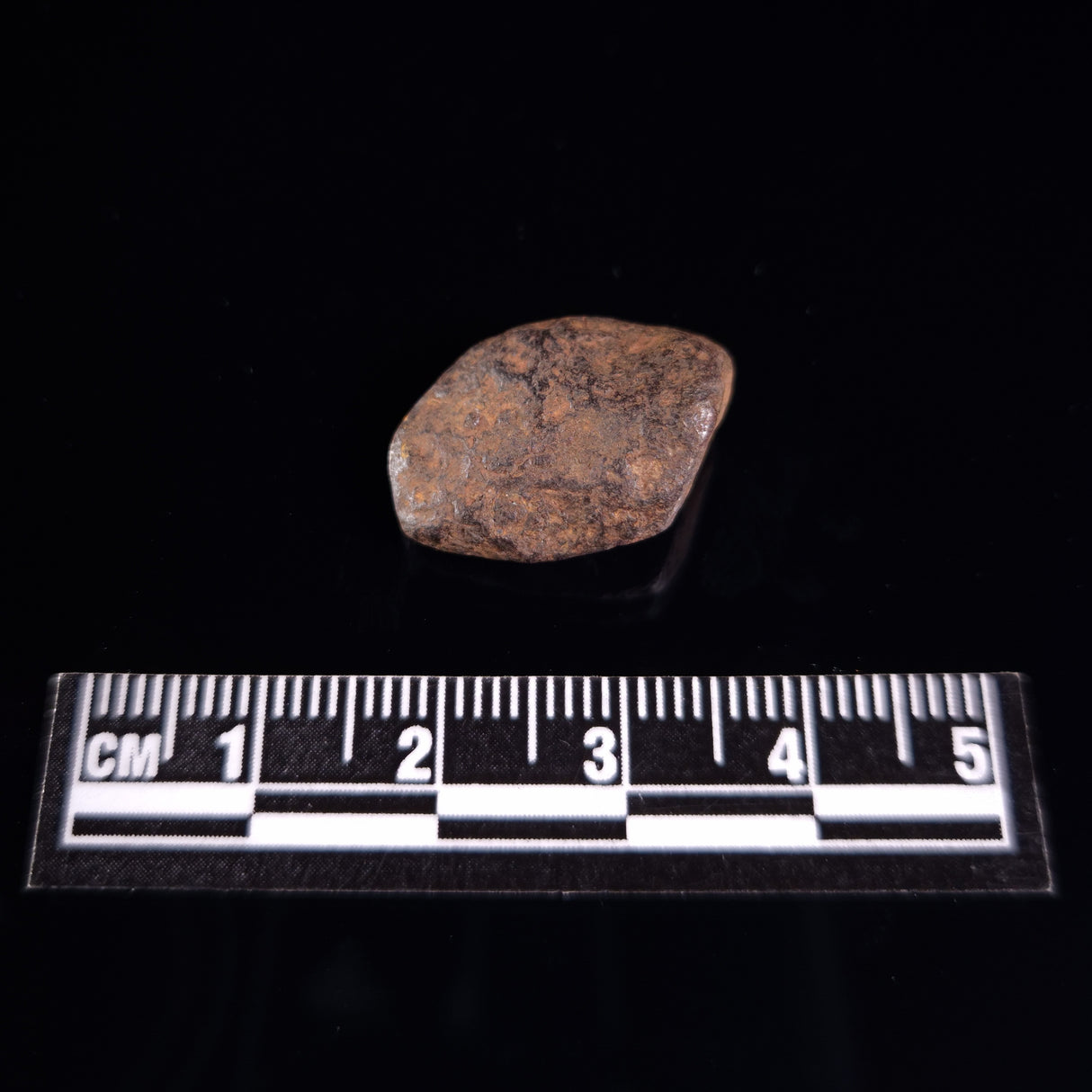 BOXHOLE METEORITE, Australia XBM010