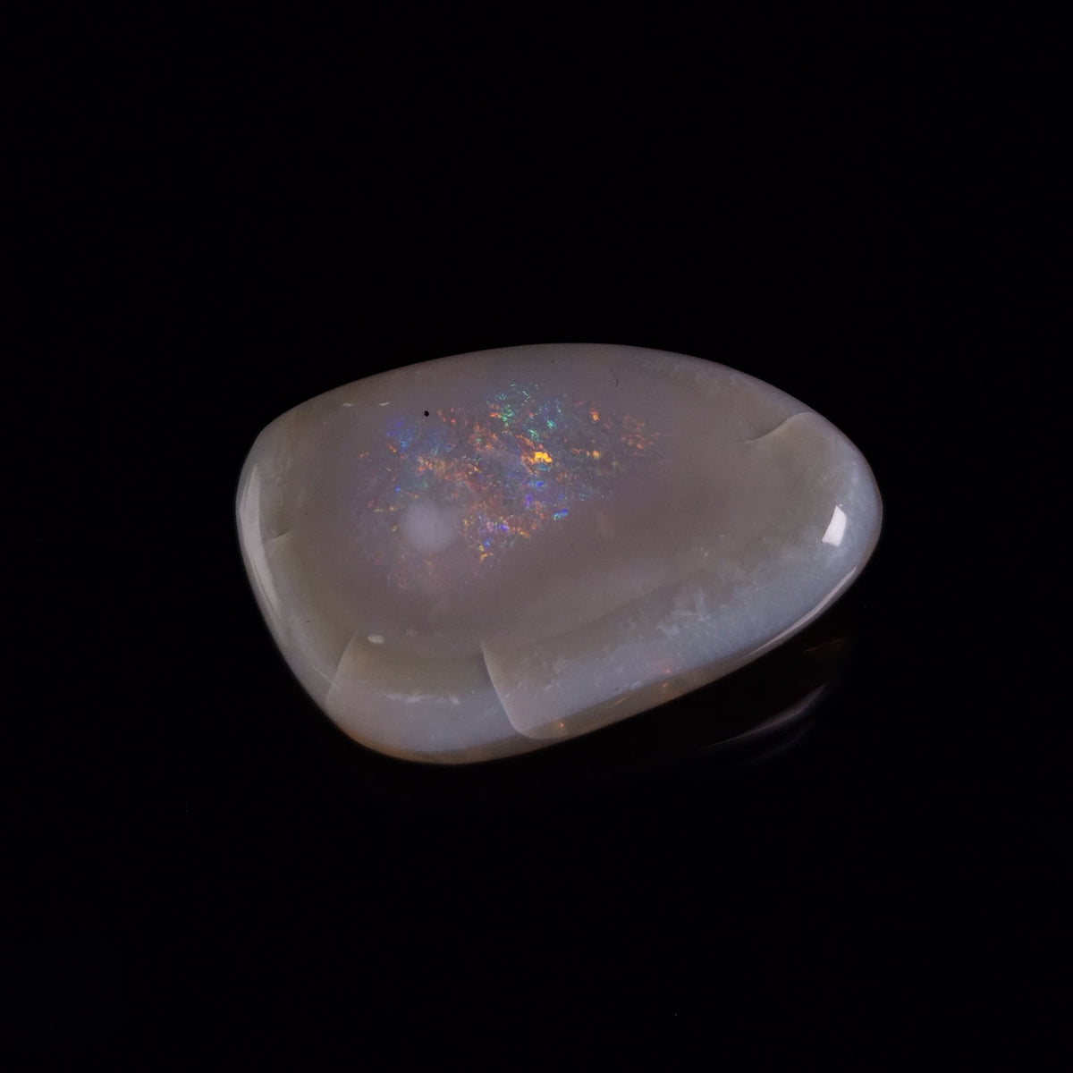 OPAL SHELL EYRENA sp. Cretaceous, Australia YOS038
