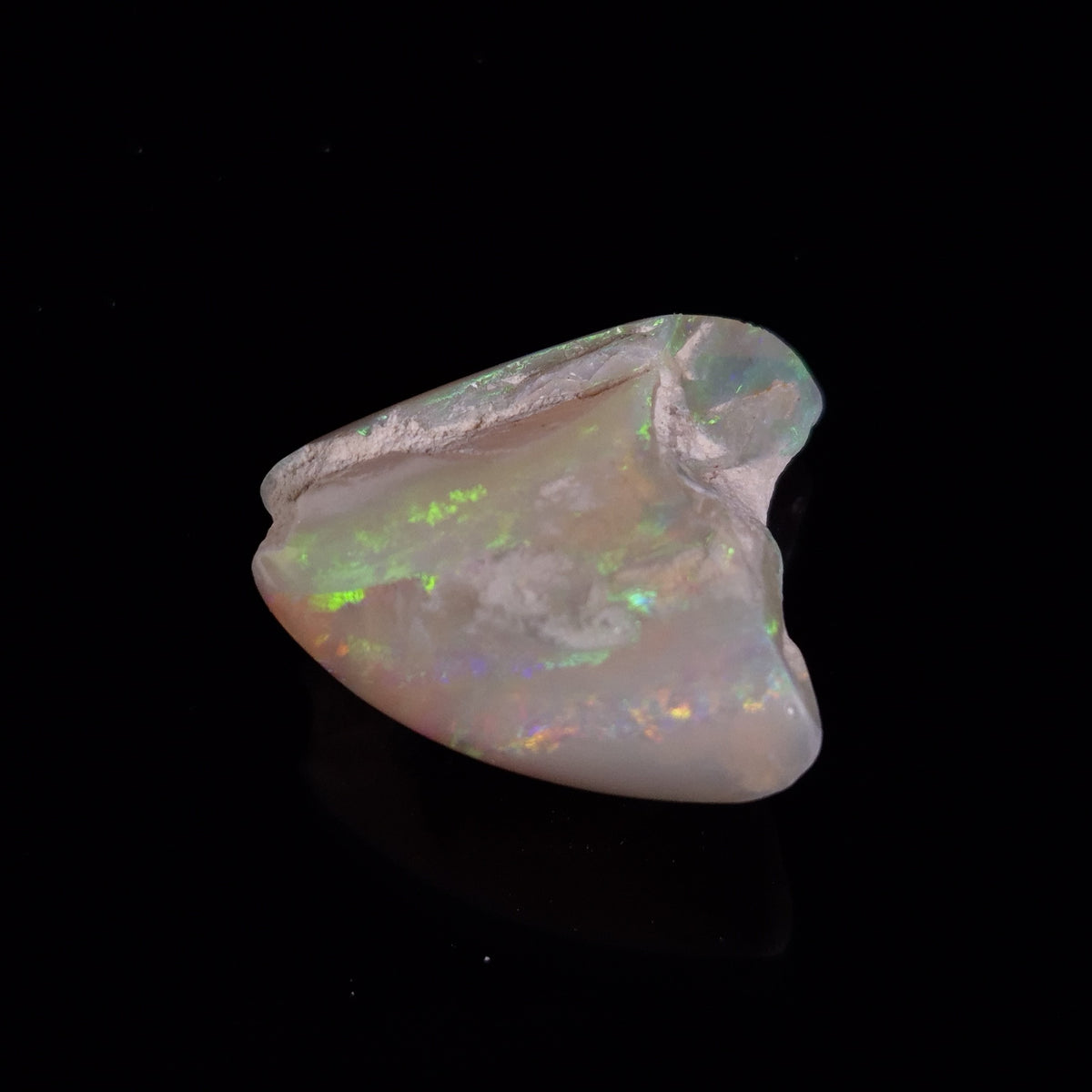 OPAL SHELL EYRENA sp. Cretaceous, Australia YOS040
