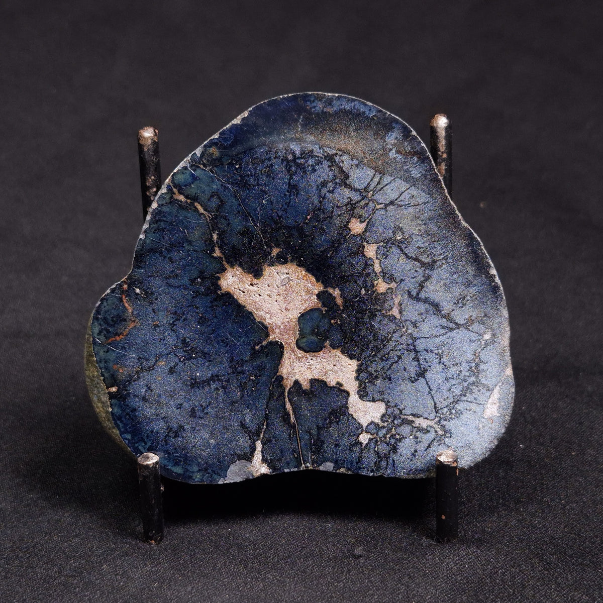 VIVIANITE NODULE, Australia XVI024