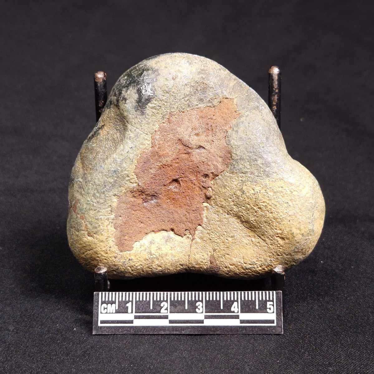 VIVIANITE NODULE, Australia XVI024