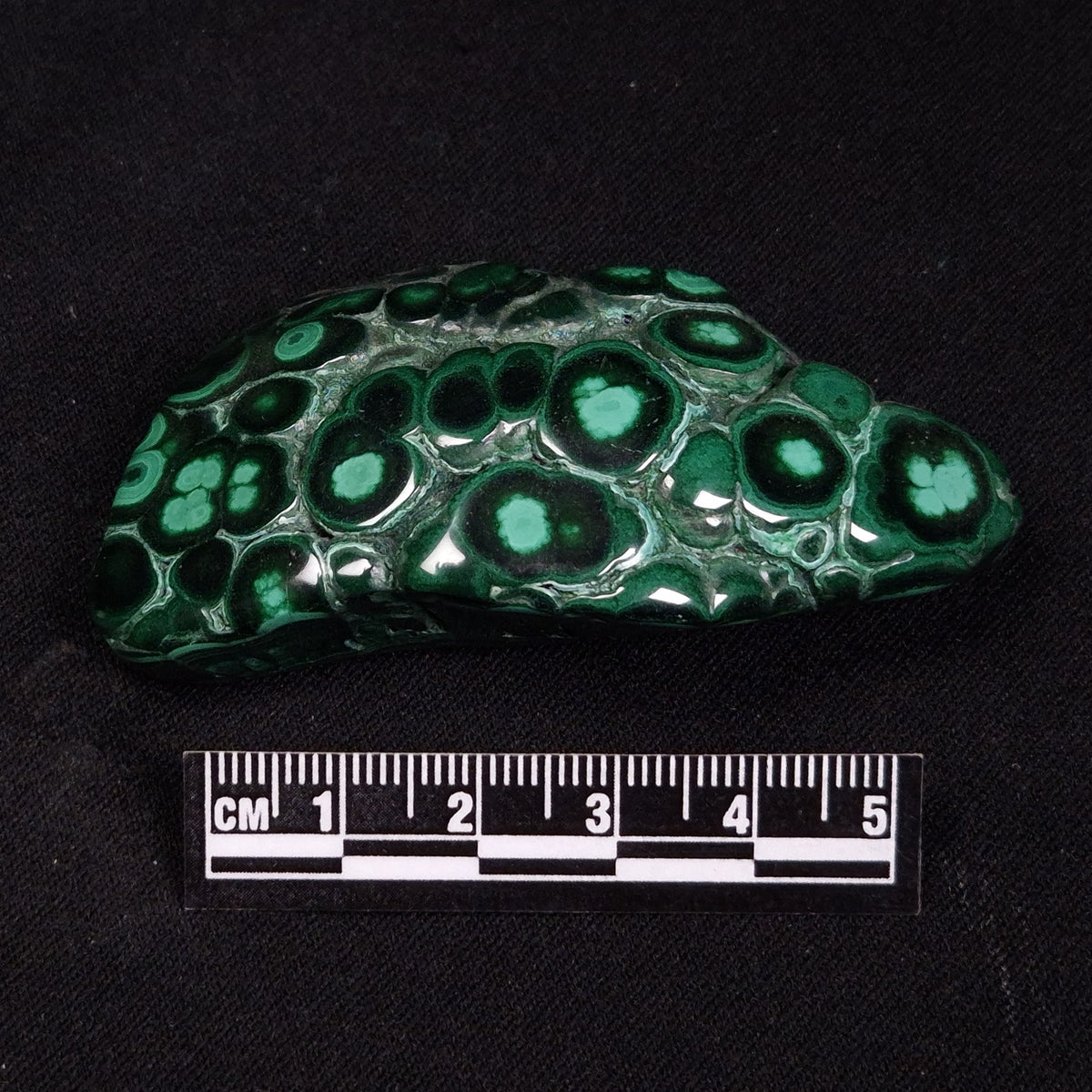 MALACHITE FREEFORM, Democratic Republic of Congo XMF017
