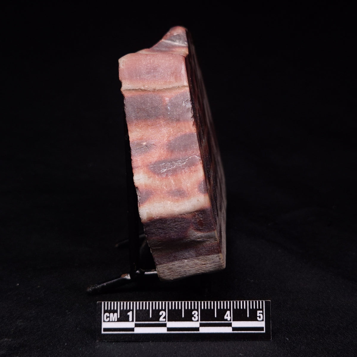 ZEBRA STONE, Australia ZZS023