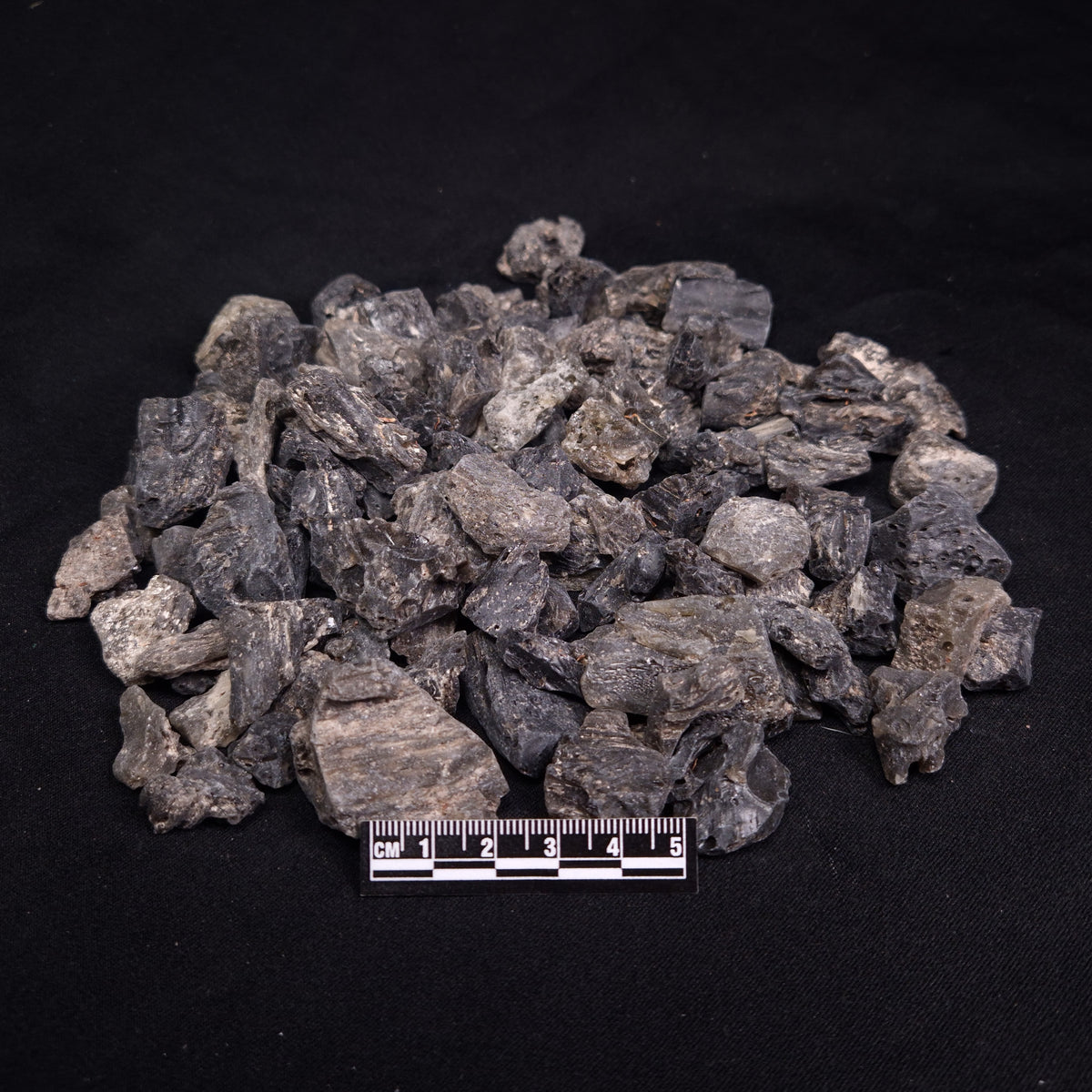 DARWIN GLASS IMPACTITE BULK PURCHASE, Impact Melt, Australia YDG115