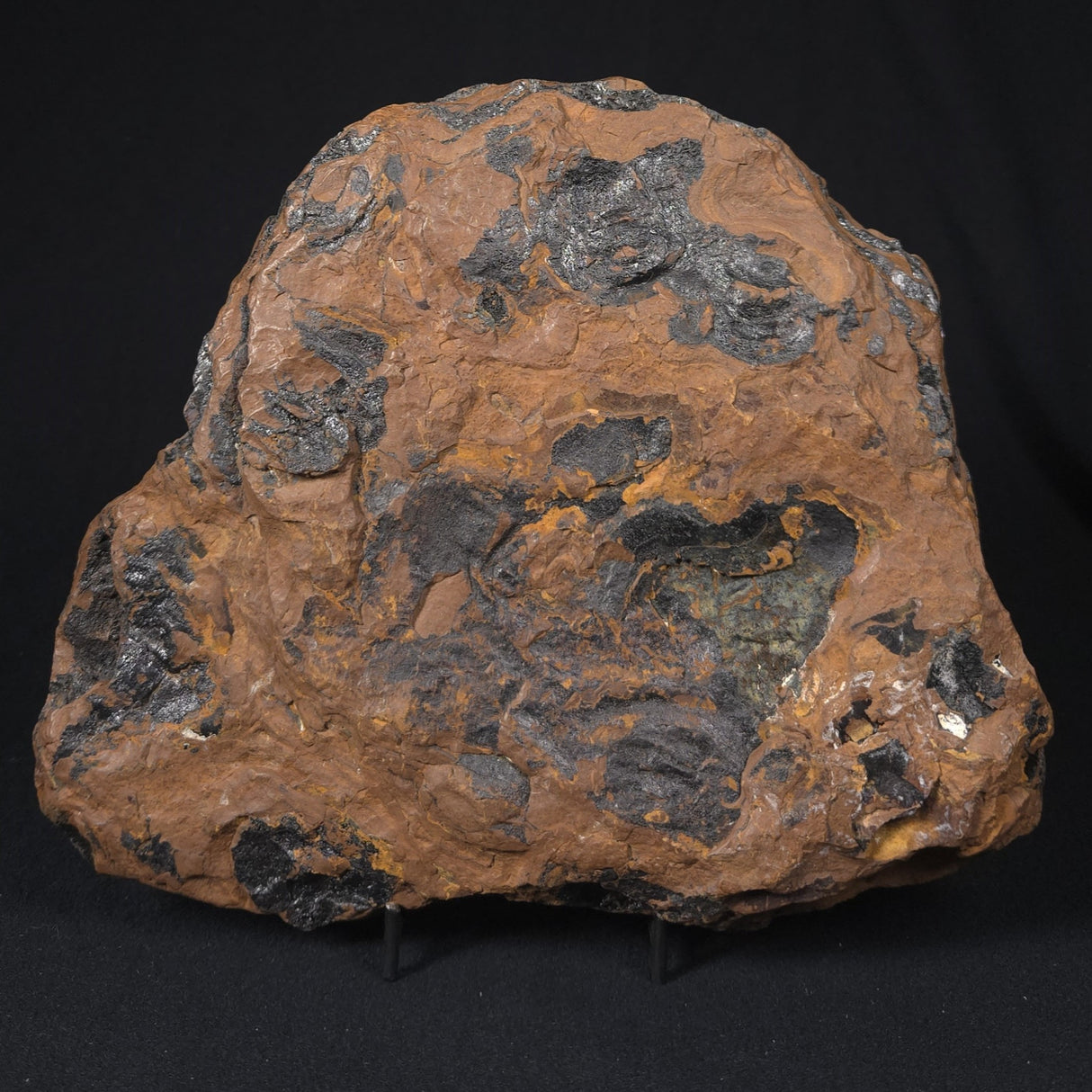 STROMATOLITE, Parda Formation, Early Cretaceous (Aptian), Australia 8VA035