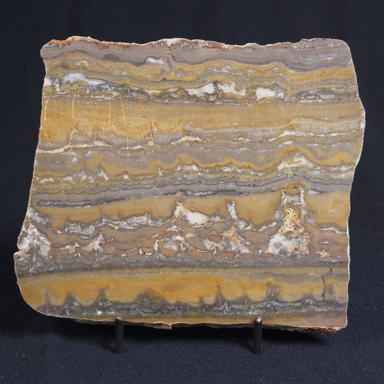 STROMATOLITE, Duck Creek, Lower Proterozoic, Australia 8VA002