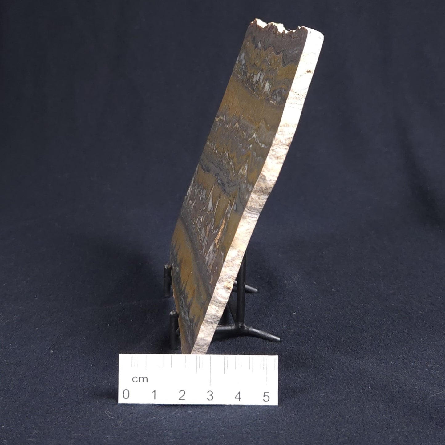 STROMATOLITE, Duck Creek, Lower Proterozoic, Australia 8VA002