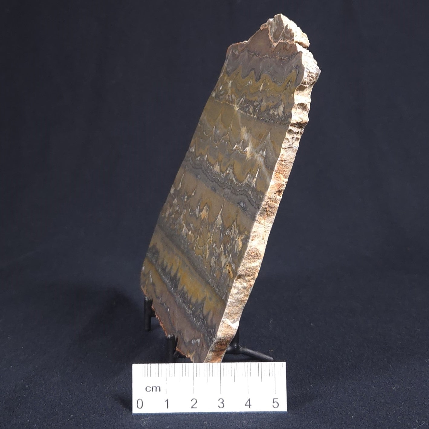 STROMATOLITE, Duck Creek, Lower Proterozoic, Australia 8VA003