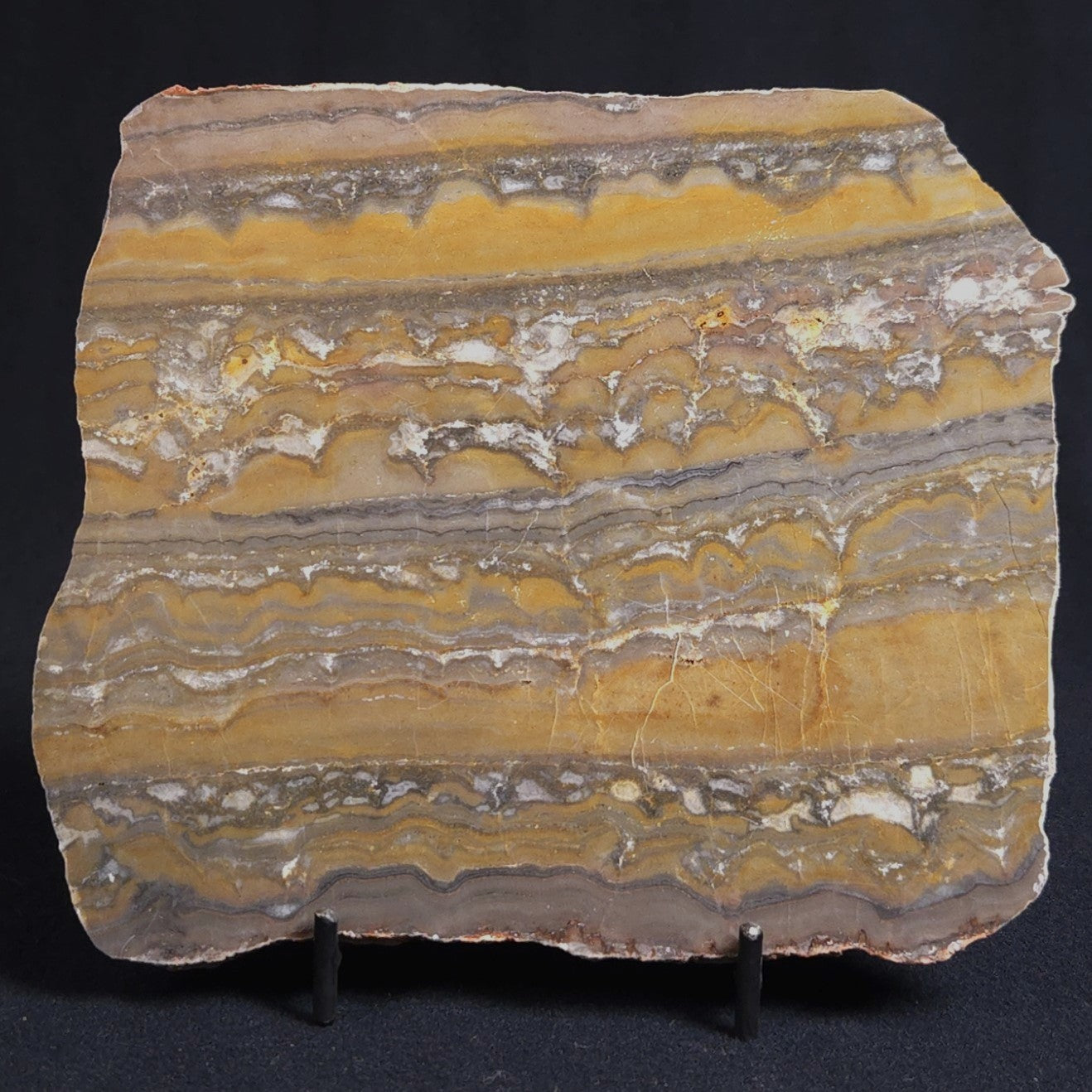 STROMATOLITE, Duck Creek, Lower Proterozoic, Australia 8VA004
