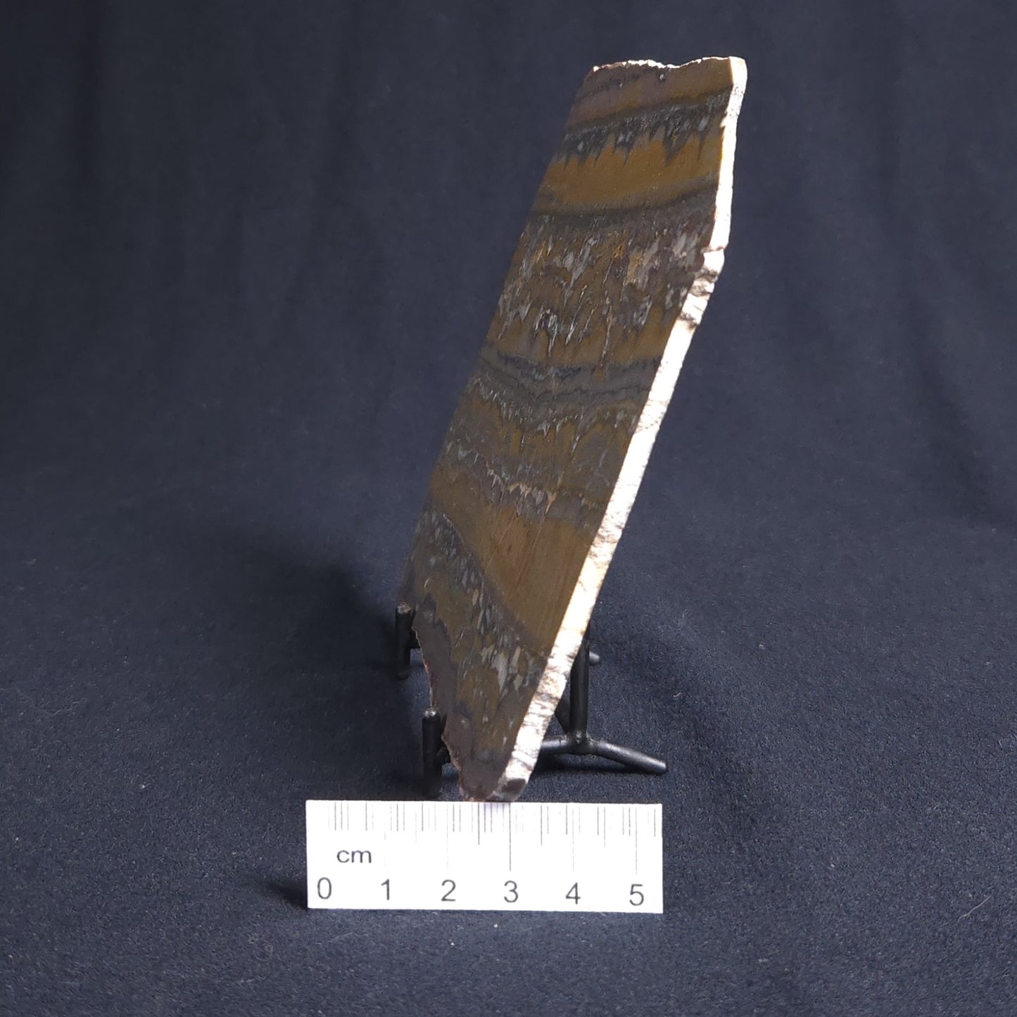 STROMATOLITE, Duck Creek, Lower Proterozoic, Australia 8VA004