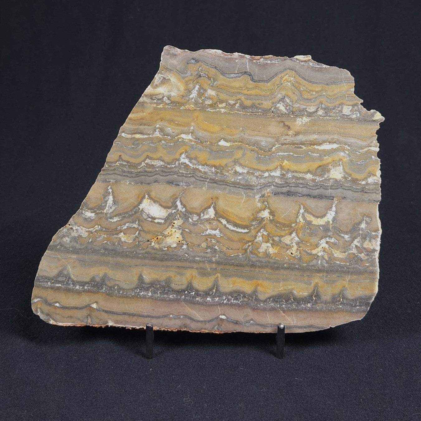STROMATOLITE, Duck Creek, Lower Proterozoic, Australia 8VA006