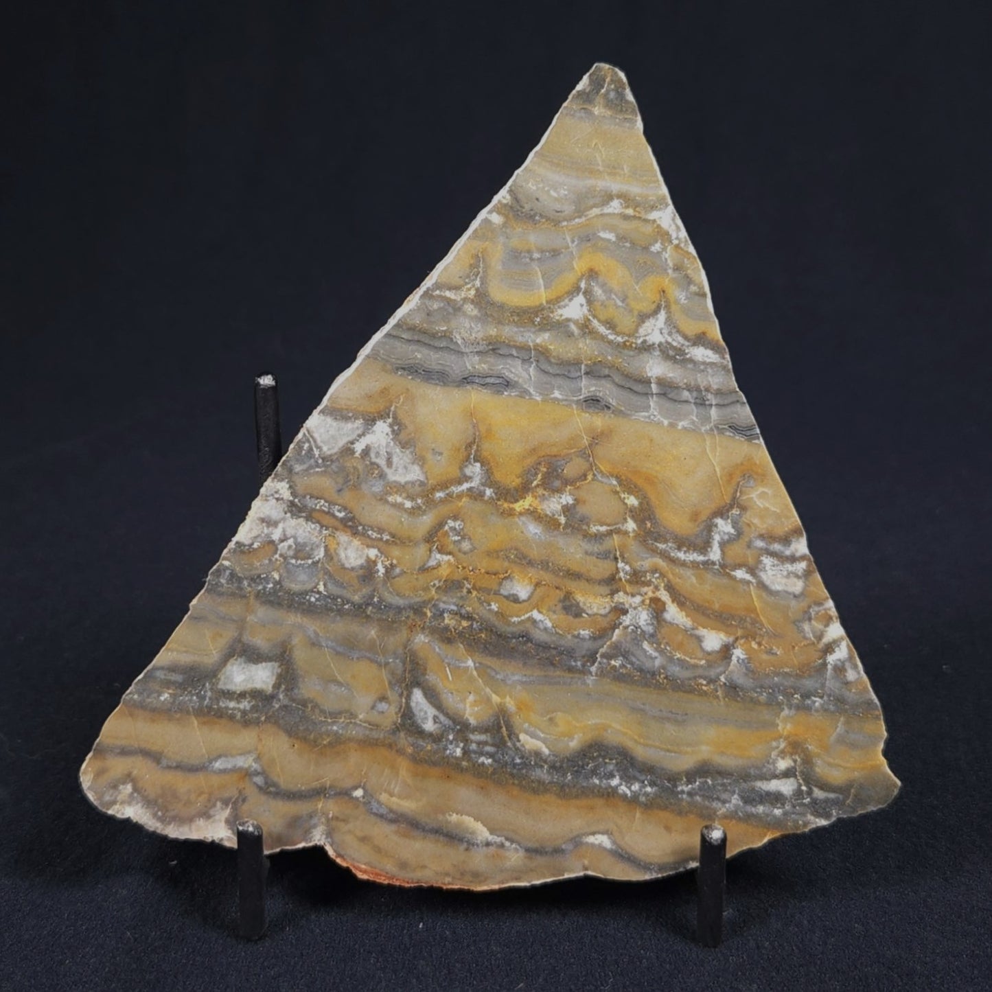 STROMATOLITE, Duck Creek, Lower Proterozoic, Australia 8VA007