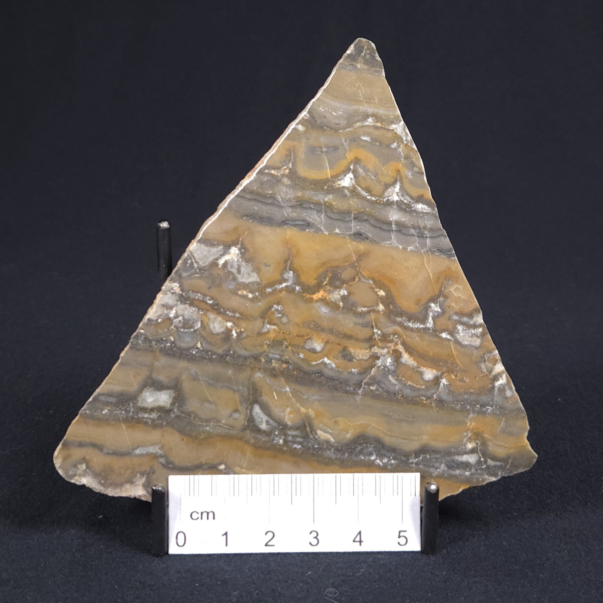STROMATOLITE, Duck Creek, Lower Proterozoic, Australia 8VA007