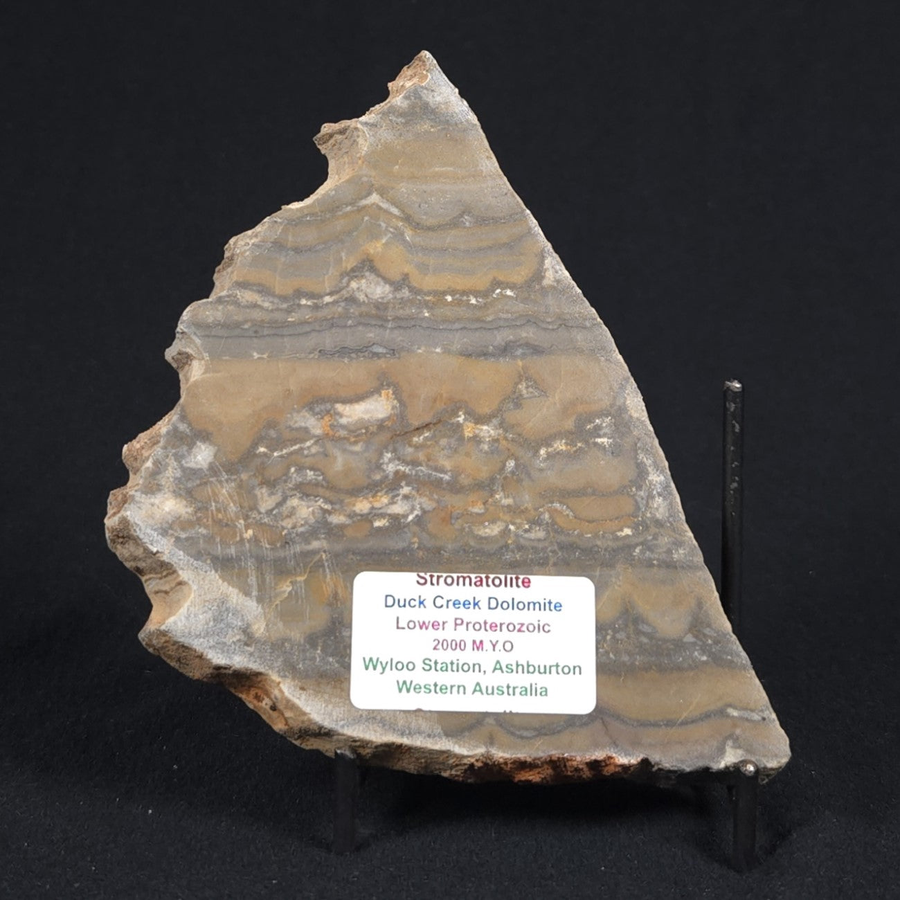 STROMATOLITE, Duck Creek, Lower Proterozoic, Australia 8VA008