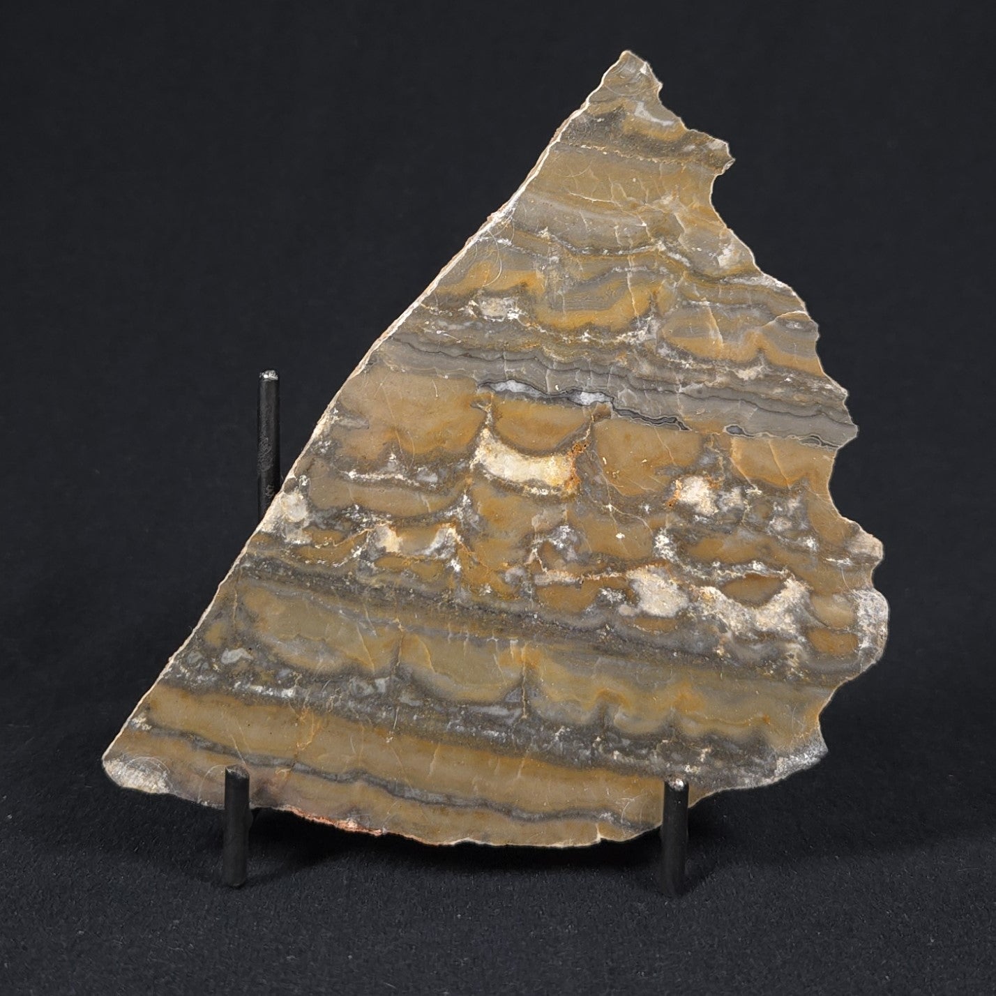 STROMATOLITE, Duck Creek, Lower Proterozoic, Australia 8VA008