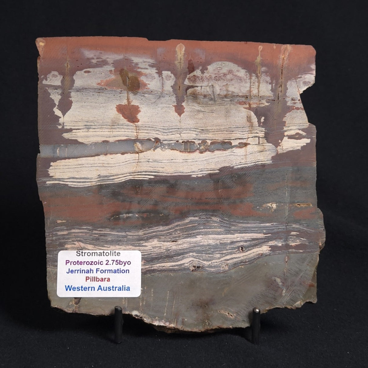 STROMATOLITE, Jerrinah Formation, Proterozoic, Australia 8VA010