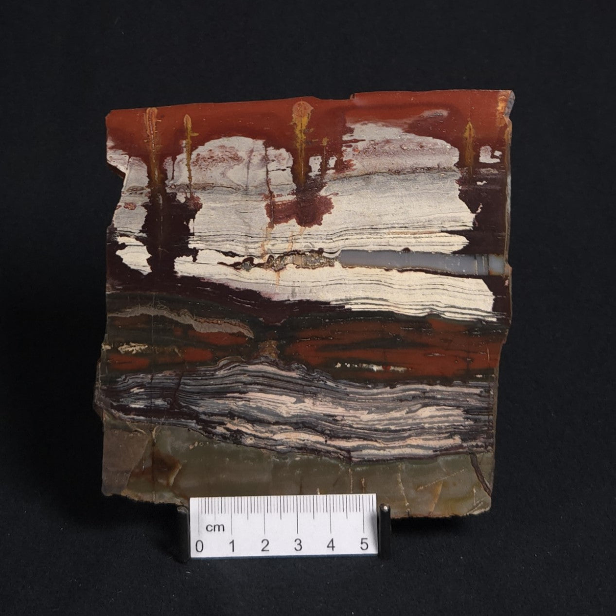 STROMATOLITE, Jerrinah Formation, Proterozoic, Australia 8VA010