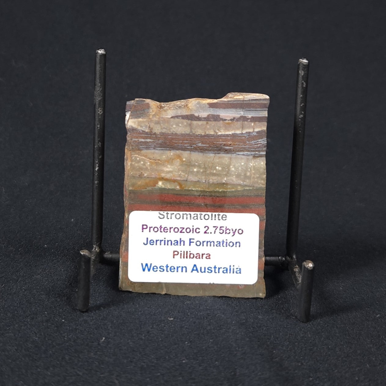 STROMATOLITE, Jerrinah Formation, Proterozoic, Australia 8VA013