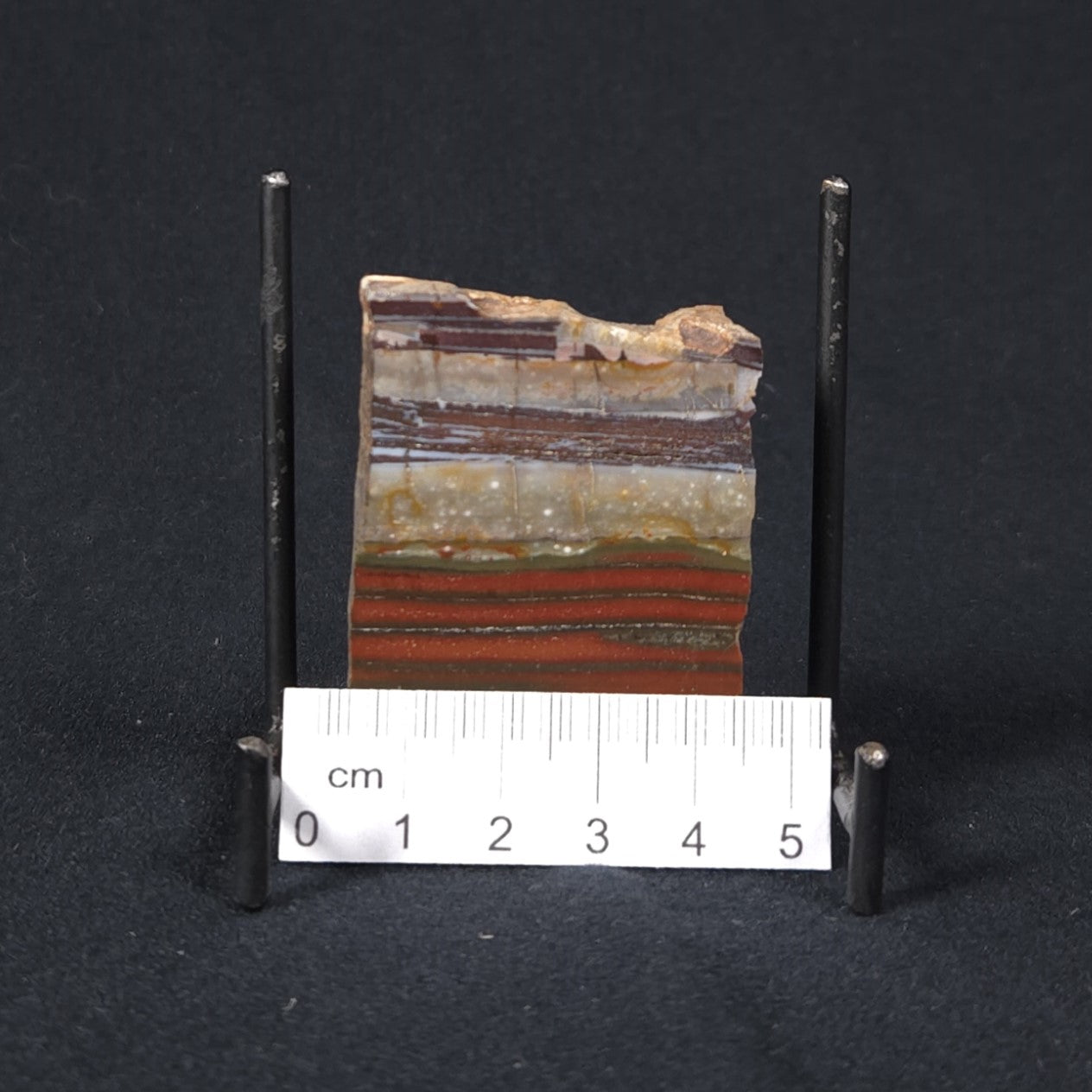 STROMATOLITE, Jerrinah Formation, Proterozoic, Australia 8VA013
