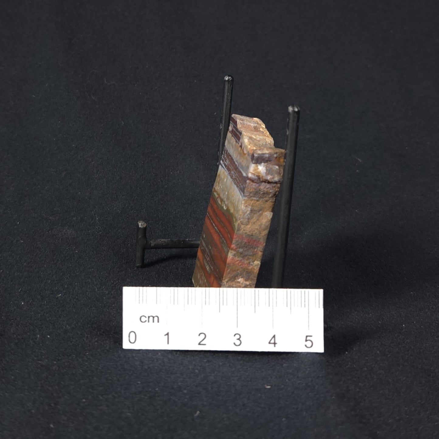 STROMATOLITE, Jerrinah Formation, Proterozoic, Australia 8VA013
