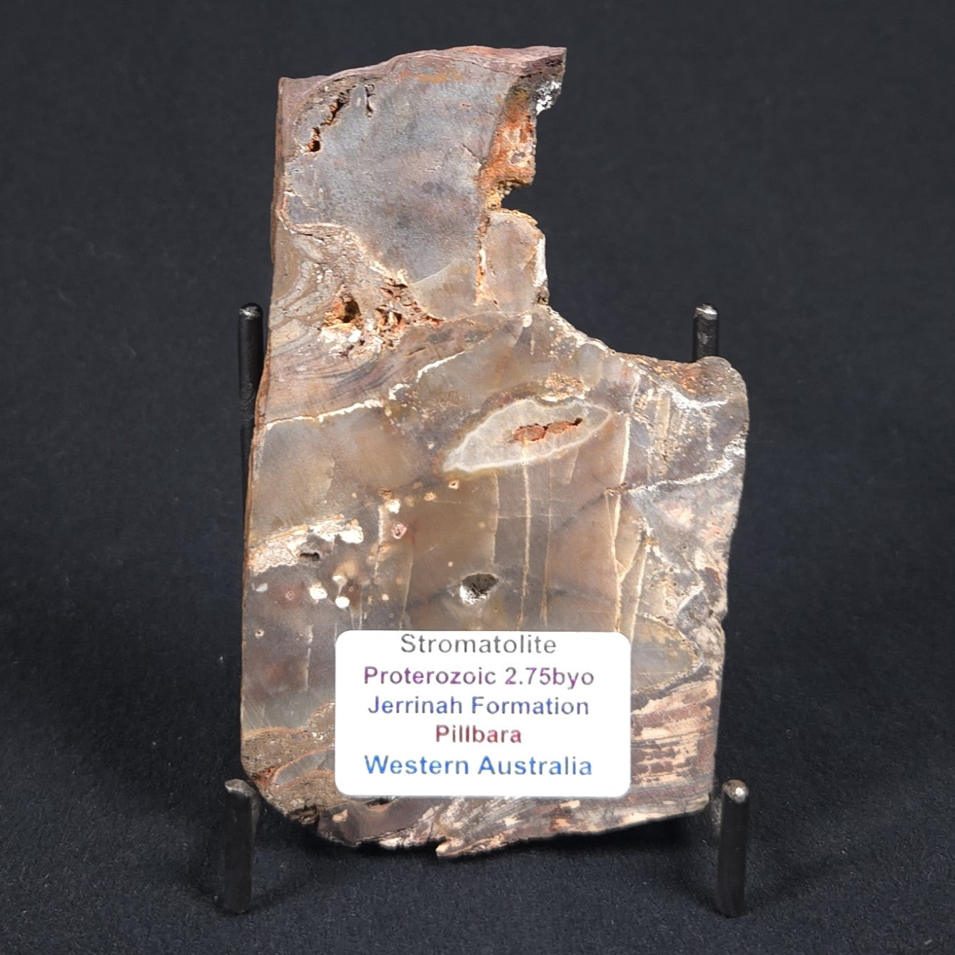 STROMATOLITE, Jerrinah Formation, Proterozoic, Australia 8VA014