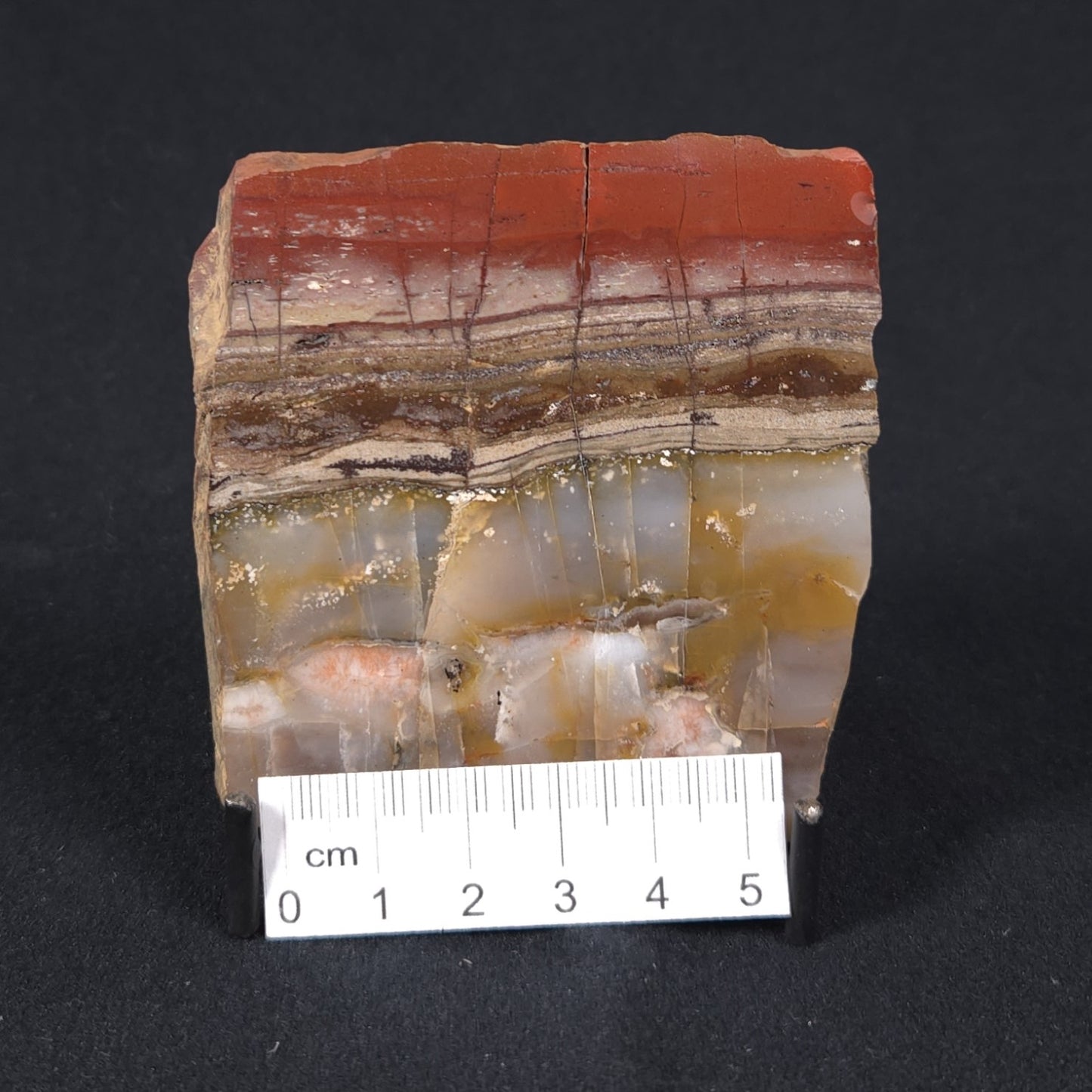 STROMATOLITE, Jerrinah Formation, Proterozoic, Australia 8VA016