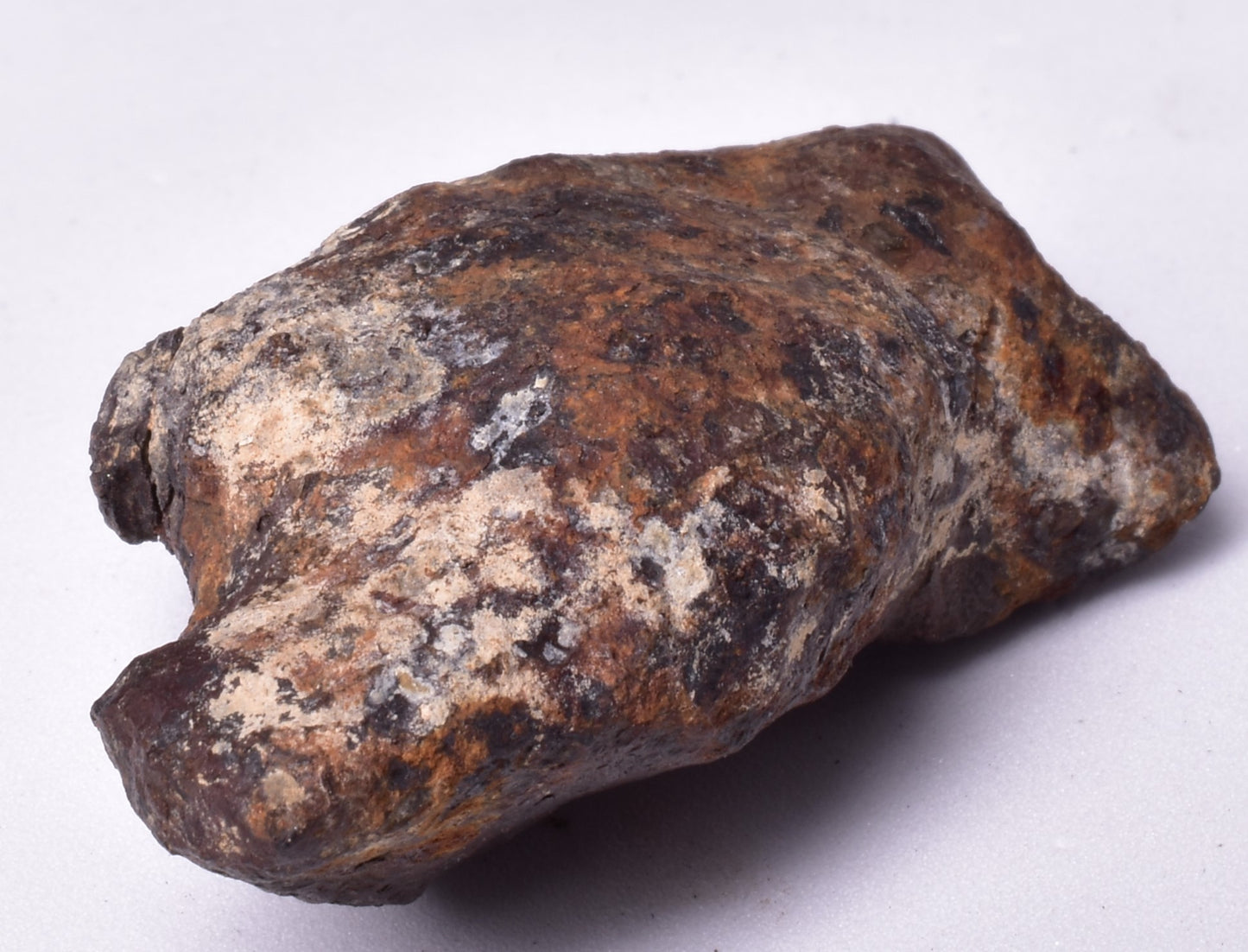 MUNDRABILLA IRON METEORITE, Western Australia MT250