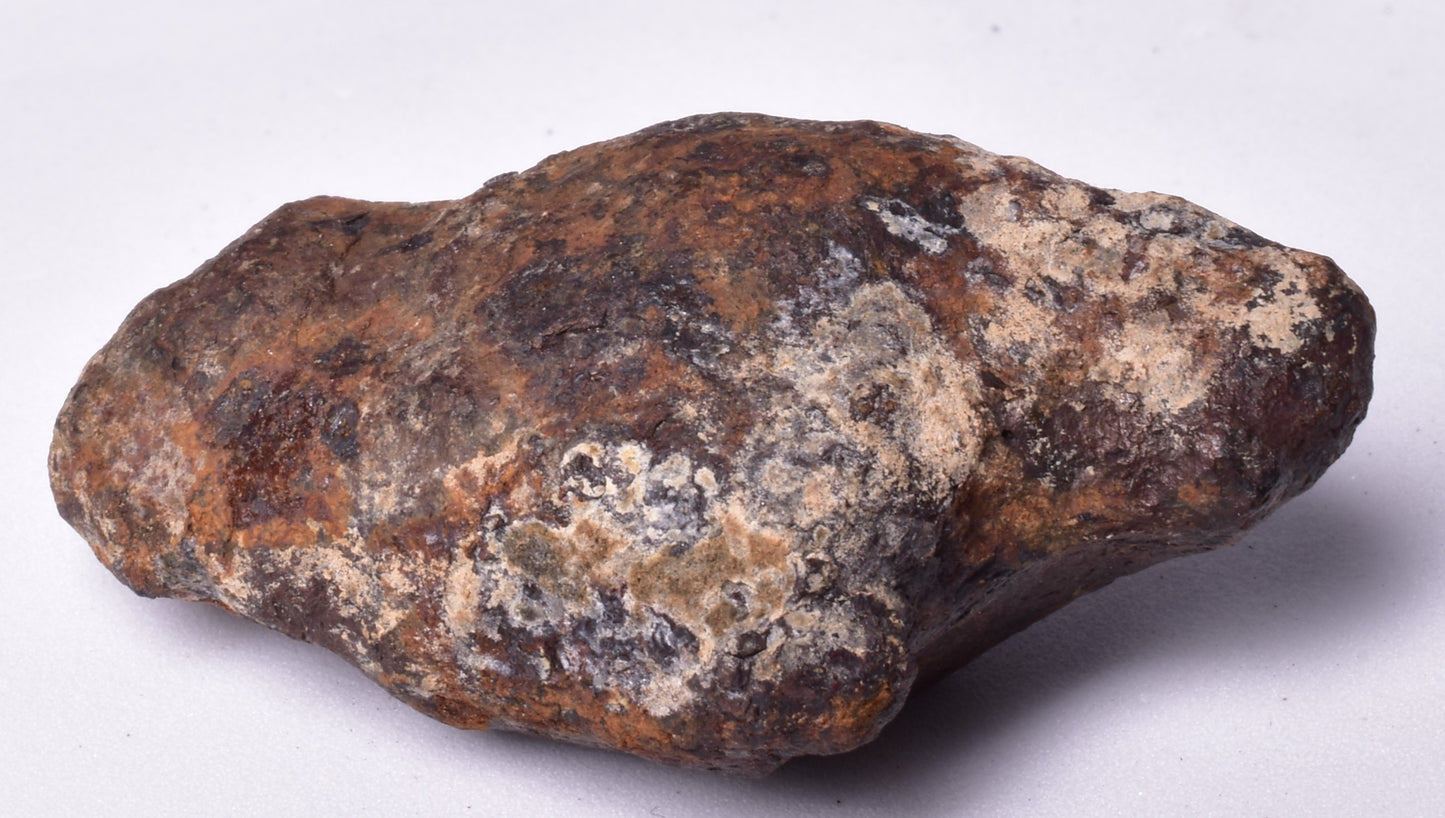 MUNDRABILLA IRON METEORITE, Western Australia MT250