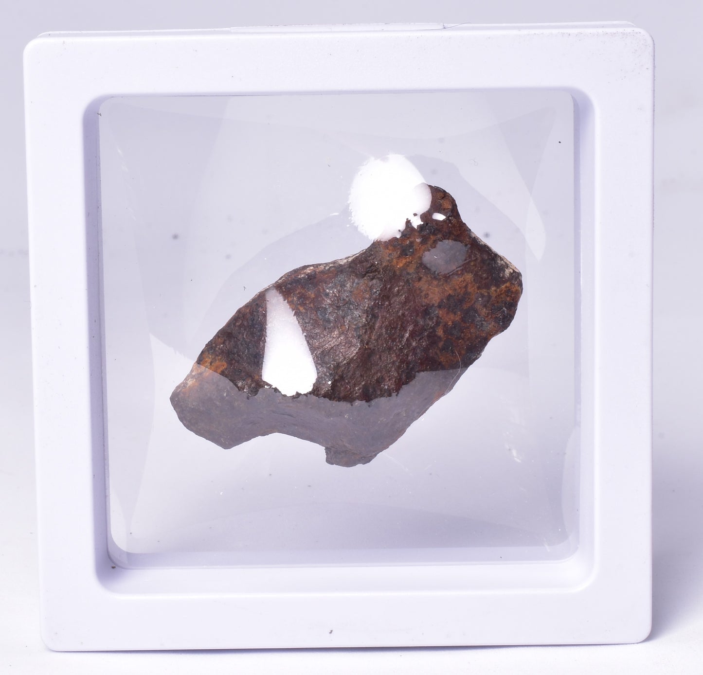 MUNDRABILLA IRON METEORITE, Western Australia MT250