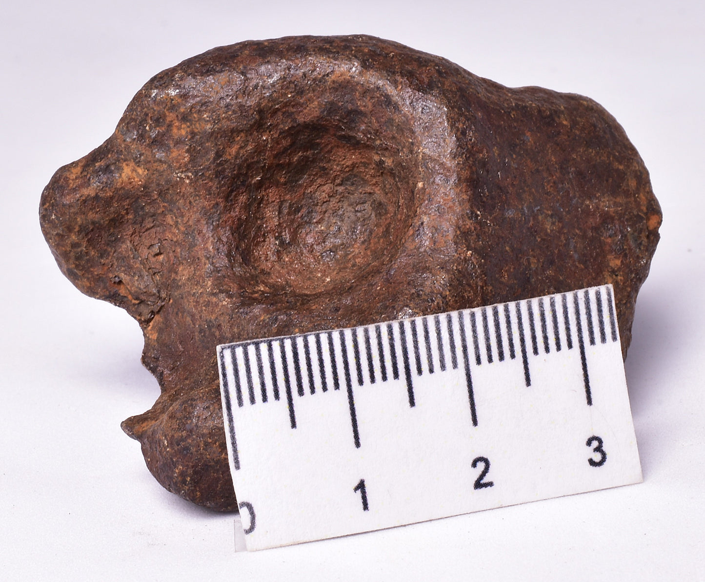MUNDRABILLA IRON METEORITE, Western Australia MT251