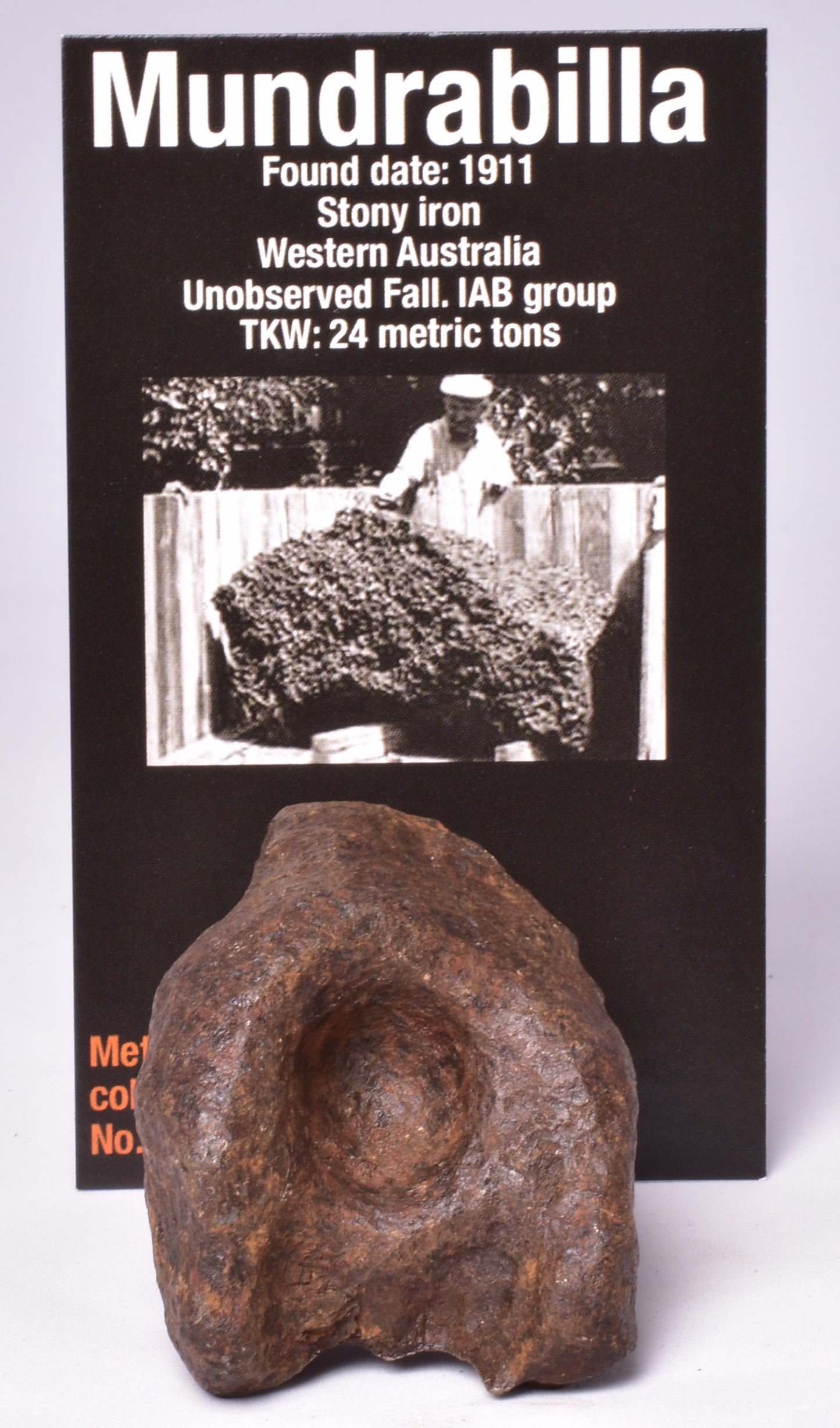 MUNDRABILLA IRON METEORITE, Western Australia MT251