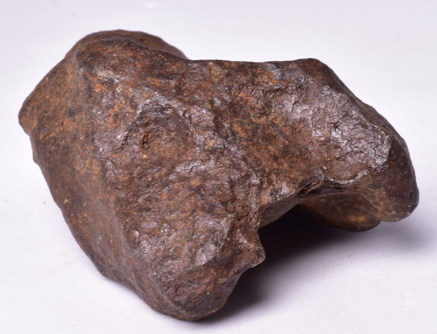 MUNDRABILLA IRON METEORITE, Western Australia MT251