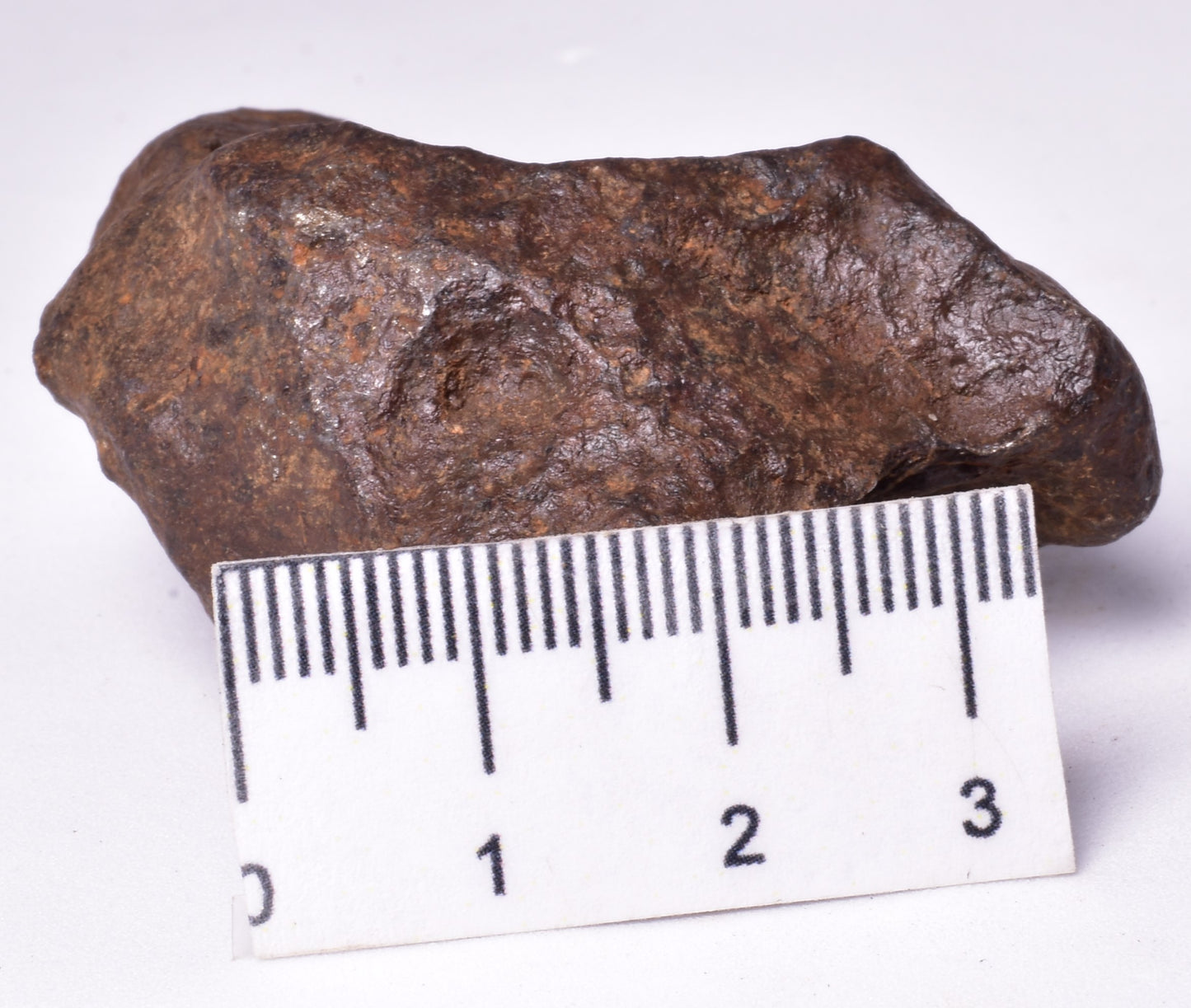 MUNDRABILLA IRON METEORITE, Western Australia MT251