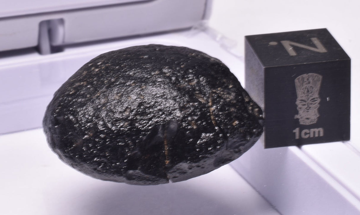 AUSTRALITE, METEORITE FROM SOUTH AUSTRALIA MT235